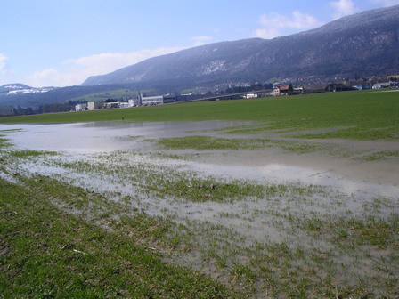 IMGP0124.jpg