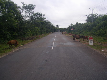 IMGP0274.jpg