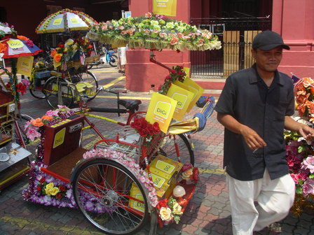 IMGP0503.JPG