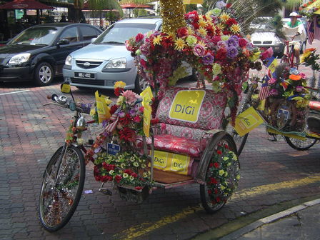 IMGP0507.JPG