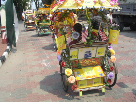 IMGP0517.JPG